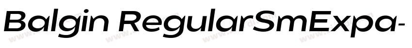 Balgin RegularSmExpa字体转换